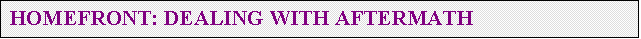 Text Box: HOMEFRONT: DEALING WITH AFTERMATH 